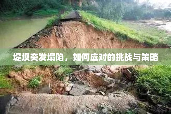 堤坝突发塌陷,如何应对的挑战与策略