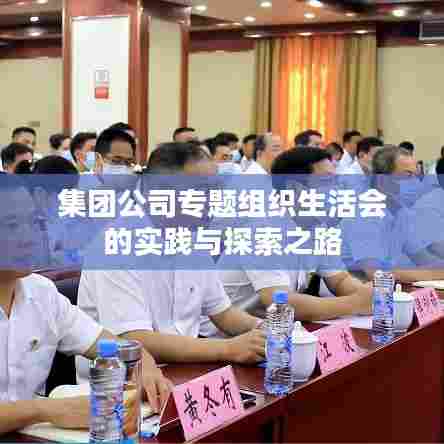 集团公司专题组织生活会的实践与探索之路
