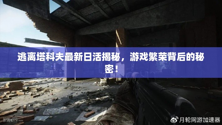 逃离塔科夫最新日活揭秘,游戏繁荣背后的秘密!