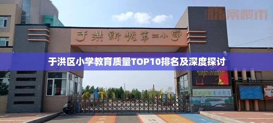 于洪区小学教育质量TOP10排名及深度探讨