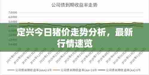 定兴今日猪价走势分析,最新行情速览