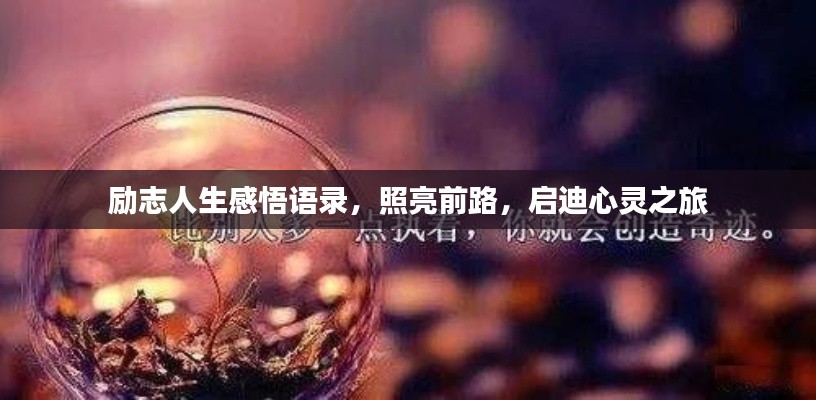 励志人生感悟语录，照亮前路，启迪心灵之旅