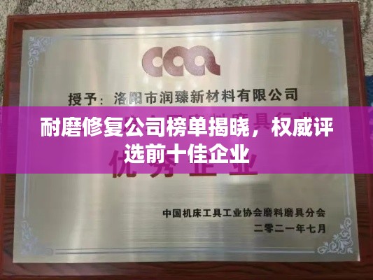 耐磨修复公司榜单揭晓,权威评选前十佳企业