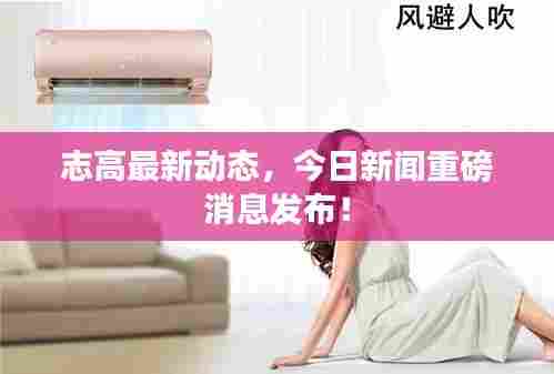 志高最新动态,今日新闻重磅消息发布!