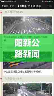 阳新公路新闻直播,最新动态展望与头条播报