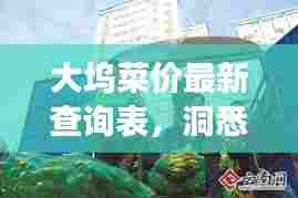 大坞菜价最新查询表，洞悉市场动态，掌握生活成本信息