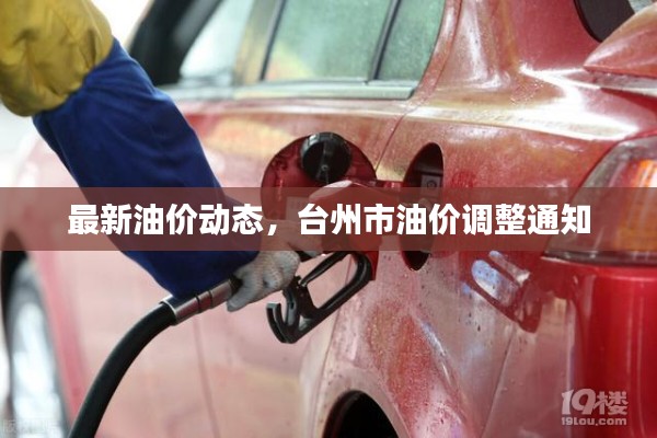 最新油价动态，台州市油价调整通知