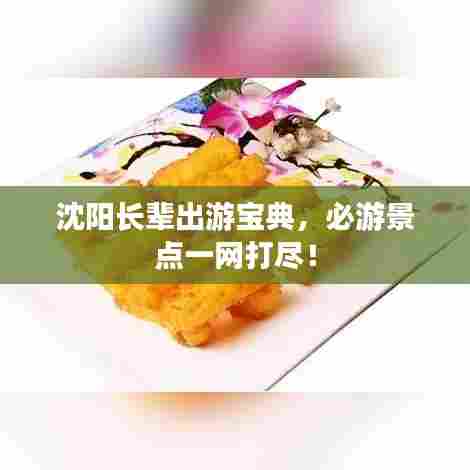 沈阳长辈出游宝典,必游景点一网打尽!