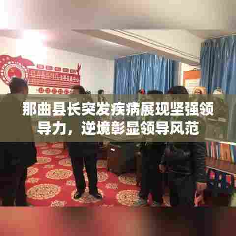 那曲县长突发疾病展现坚强领导力,逆境彰显领导风范