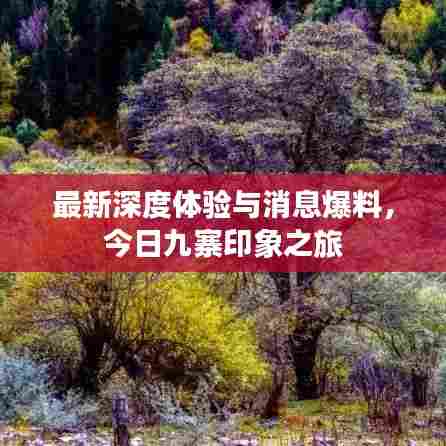 最新深度体验与消息爆料，今日九寨印象之旅