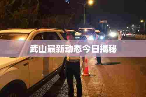 武山最新动态今日揭秘