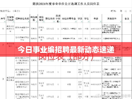 今日事业编招聘最新动态速递