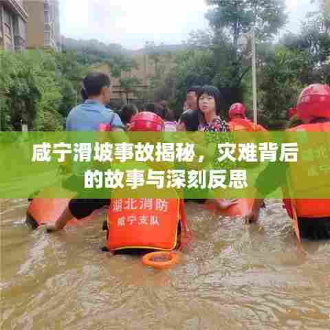 咸宁滑坡事故揭秘,灾难背后的故事与深刻反思