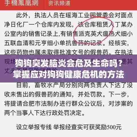 狗狗突发脑炎会危及生命吗？掌握应对狗狗健康危机的方法