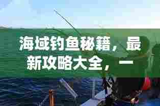 海域钓鱼秘籍,最新攻略大全,一网打尽!
