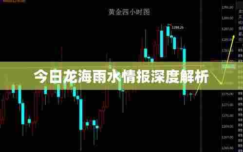 今日龙海雨水情报深度解析