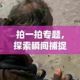 拍一拍专题，探索瞬间捕捉的艺术魅力