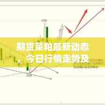 期货菜粕最新动态,今日行情走势及市场分析