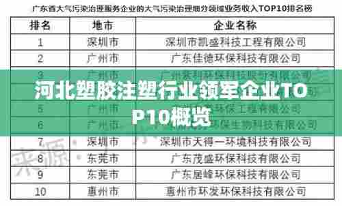 河北塑胶注塑行业领军企业TOP10概览