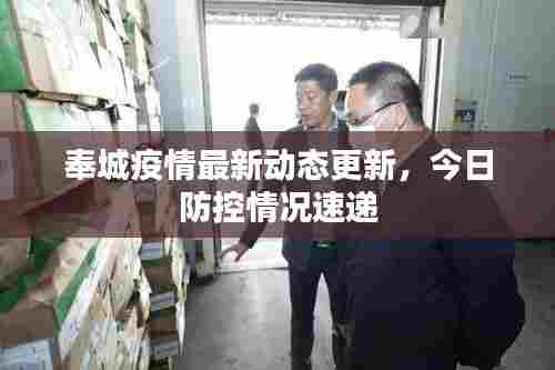 奉城疫情最新动态更新,今日防控情况速递
