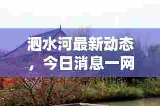 泗水河最新动态,今日消息一网打尽!