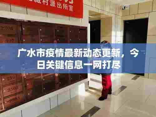 广水市疫情最新动态更新,今日关键信息一网打尽
