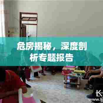危房揭秘,深度剖析专题报告