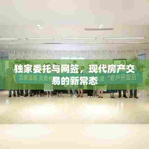 独家委托与网签，现代房产交易的新常态