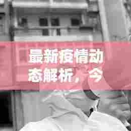 最新疫情动态解析,今日说法下的影响与关注