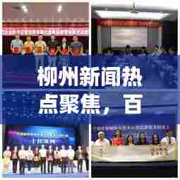 柳州新闻热点聚焦,百姓调解助力和谐社会建设