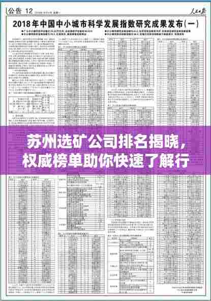 苏州选矿公司排名揭晓,权威榜单助你快速了解行业佼佼者