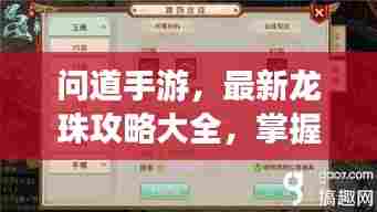 问道手游，最新龙珠攻略大全，掌握获取与运用技巧