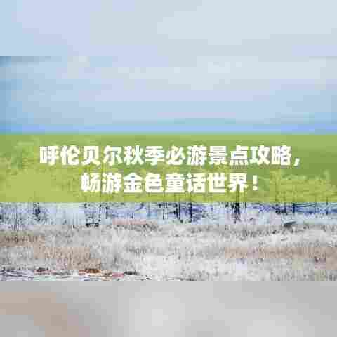 呼伦贝尔秋季必游景点攻略，畅游金色童话世界！