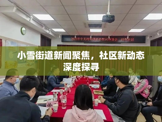 小雪街道新闻聚焦,社区新动态深度探寻