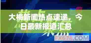 大梅新闻热点速递,今日最新报道汇总