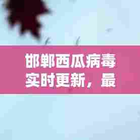 邯郸西瓜病毒实时更新,最新情况视频报道揭秘