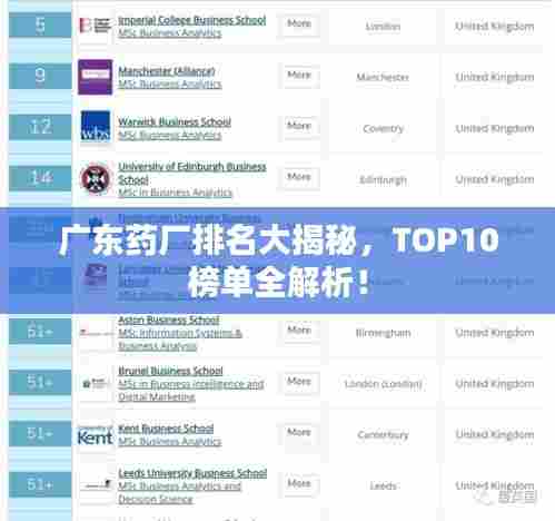 广东药厂排名大揭秘,TOP10榜单全解析!