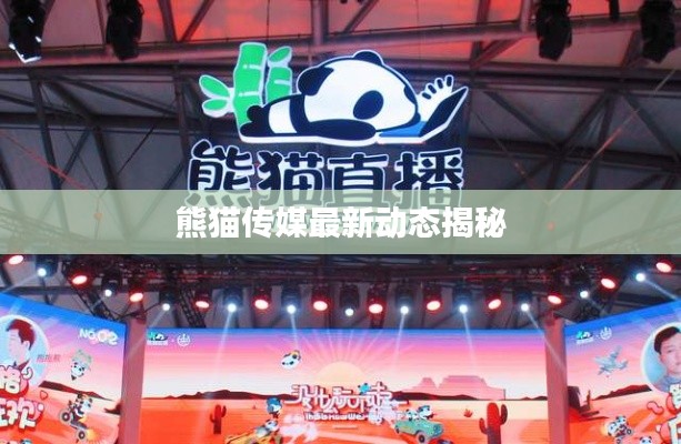 熊猫传媒最新动态揭秘