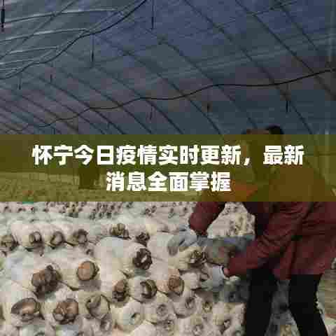 怀宁今日疫情实时更新,最新消息全面掌握