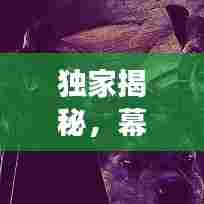 独家揭秘,幕后不为人知的秘密故事大曝光!