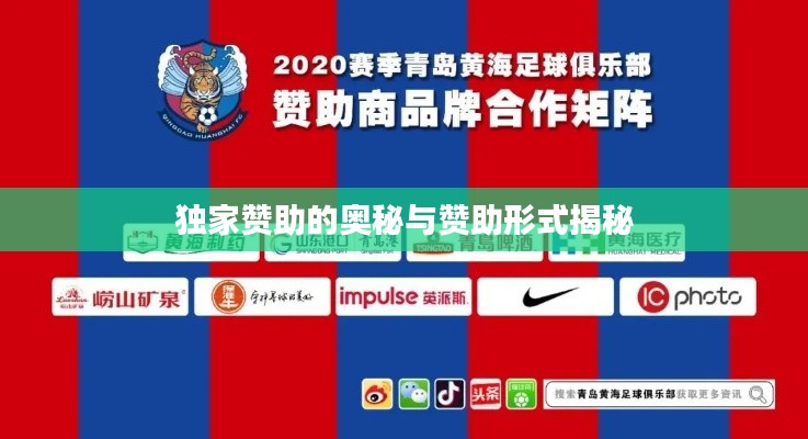独家赞助的奥秘与赞助形式揭秘