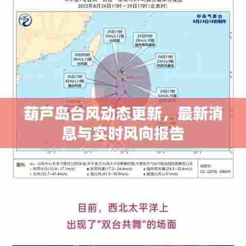 葫芦岛台风动态更新,最新消息与实时风向报告