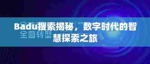 Badu搜索揭秘,数字时代的智慧探索之旅
