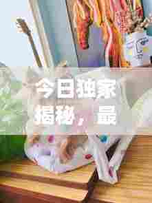 今日独家揭秘,最新飞机动态重磅来袭!