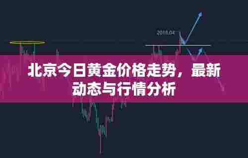 北京今日黄金价格走势,最新动态与行情分析