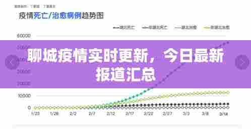 聊城疫情实时更新,今日最新报道汇总