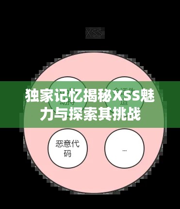 独家记忆揭秘XSS魅力与探索其挑战