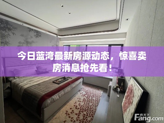 今日蓝湾最新房源动态，惊喜卖房消息抢先看！