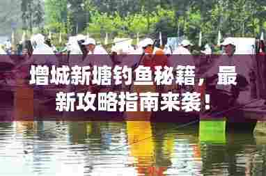 增城新塘钓鱼秘籍,最新攻略指南来袭!