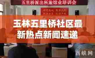 玉林五里桥社区最新热点新闻速递